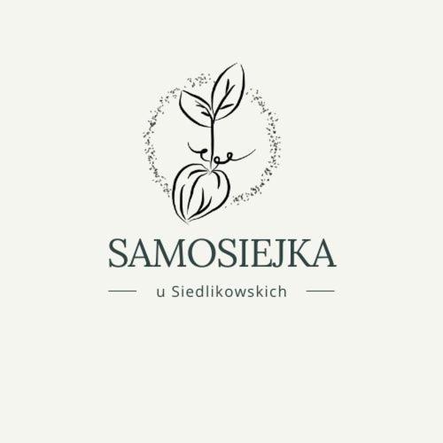 Samosiejka - Z Widokiem Na Jezioro Villa Lidzbark Welski Dış mekan fotoğraf